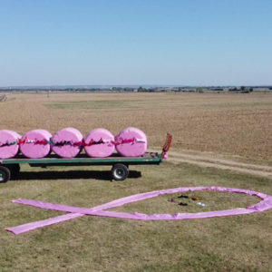 Mise en place d'un décor en grandeur nature dans les champs des agricultrices