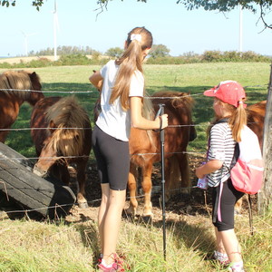 Enfants devant les poneys Shetland.