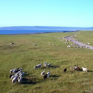 Un PAT a été signé sur l'ile de Saint-Pierre-et-Miquelon.