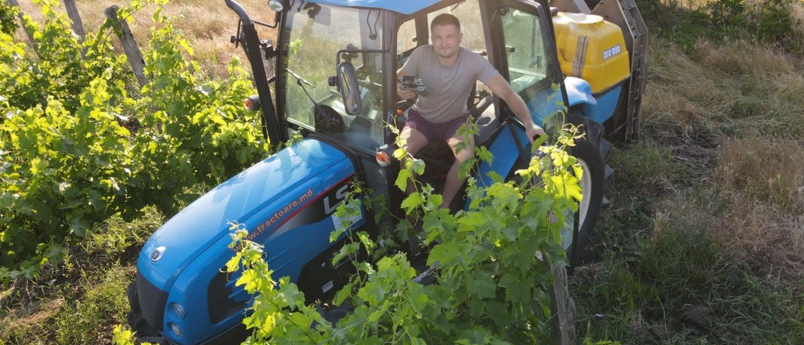 Nicu Ulinici, 33 ans, en plein entretien de ses vignes.