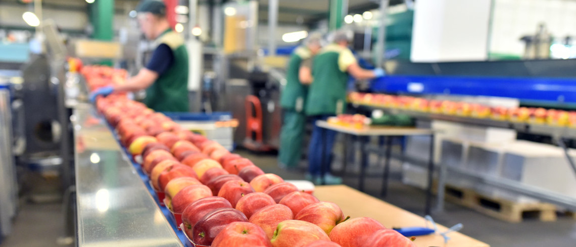 La chaîne agro-alimentaire assure malgré le contexte sanitaire