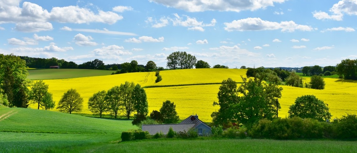 Paysage agricole