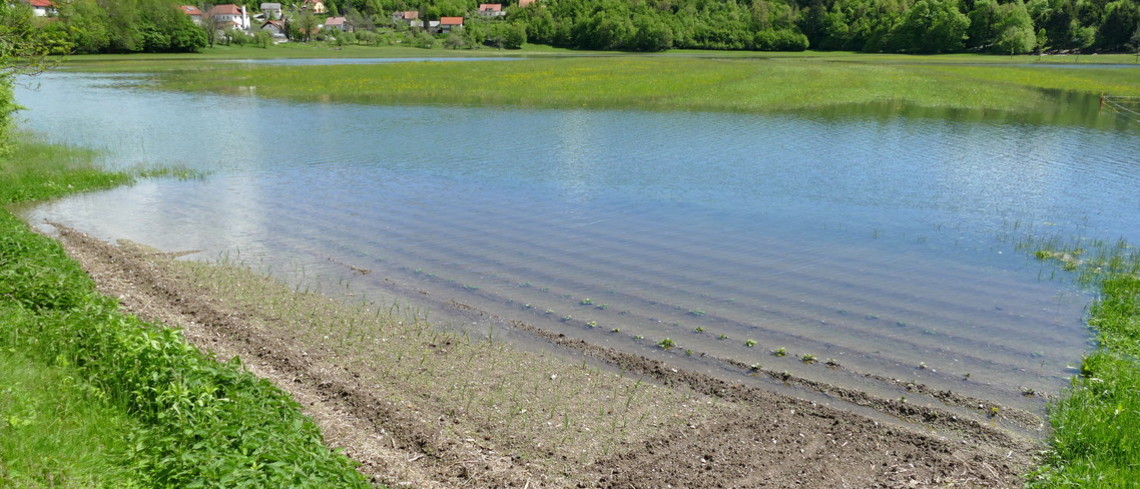 champ inondé