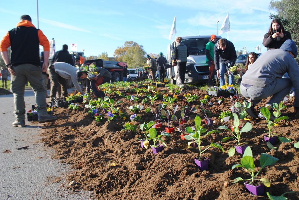 Dans le Var, les agriculteurs ont investi le rond point de la Paix sur lequel ils ont représenté d'un côté une agriculture vivante avec un champ et de l'autre une agriculture qui se meurt. (c)JA 83