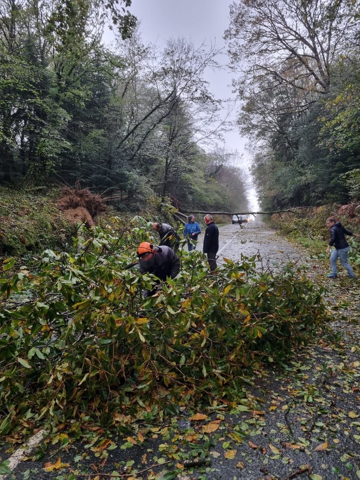 Déblayage des arbres tombés sur la route.