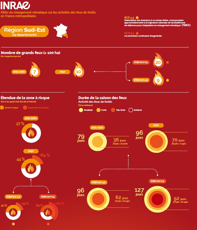 Infographie Inrae - sud-est.